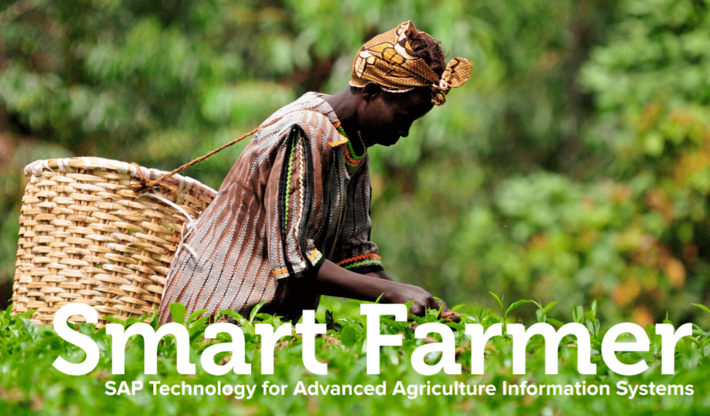 Opinion: Digital transformation in agri-business required to safeguard African food supply
