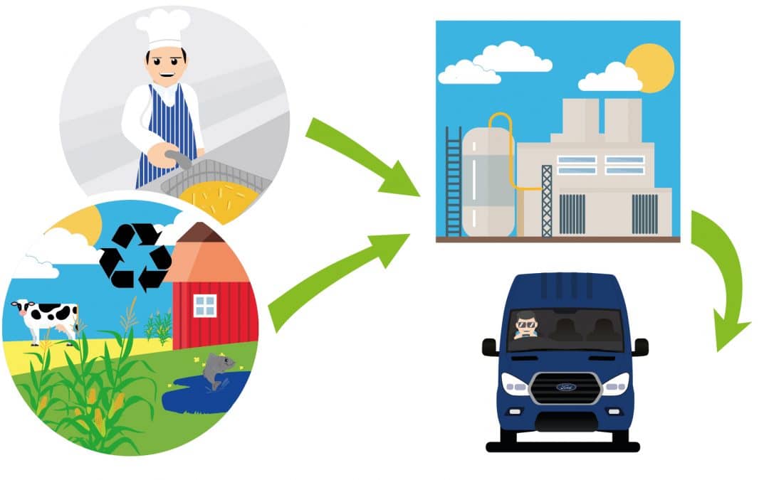 Fried Food Could Give Planet a Health Kick; Now Transit Runs on Green Fuels Made from Cooking Oil