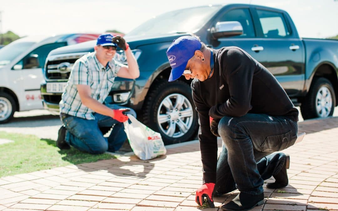 Ford Partners with SANCCOB to Save the Endangered African Penguin