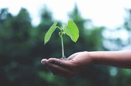USING AI TO IMPROVE SUSTAINABILITY AT HOME ON WORLD EARTH DAY 2020