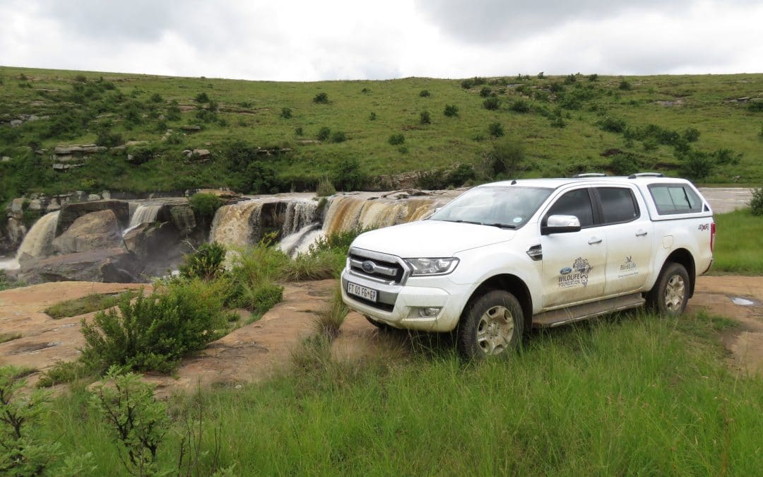Ford and BirdLife South Africa celebrate World Wetlands Day