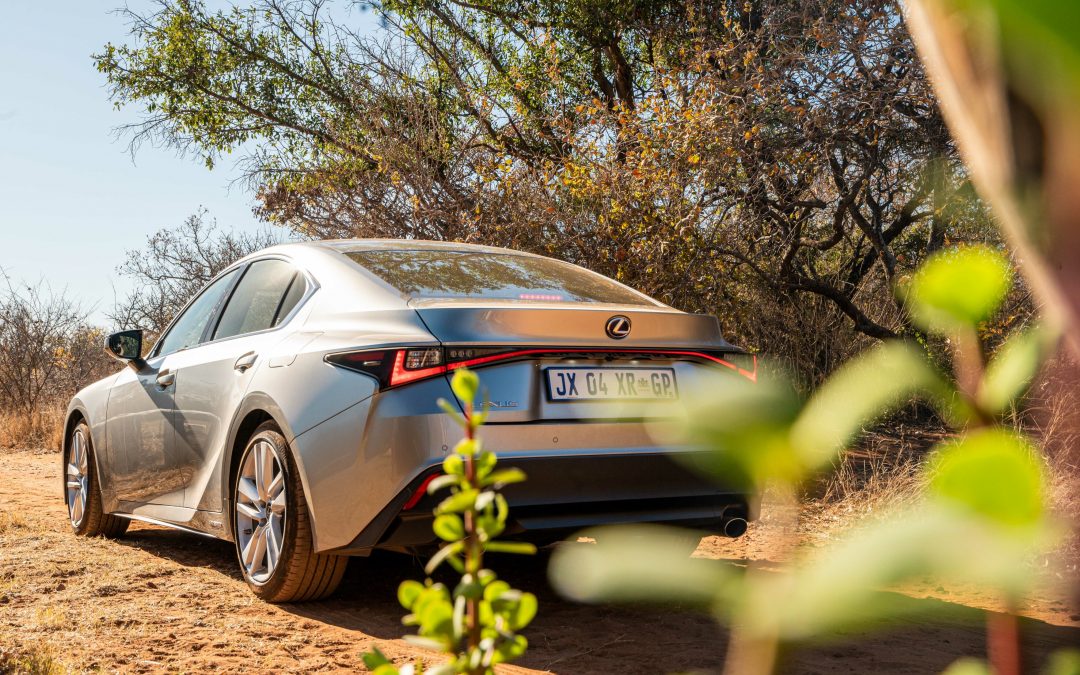 Lexus planting thousands of Spekboom on its road towards carbon neutrality