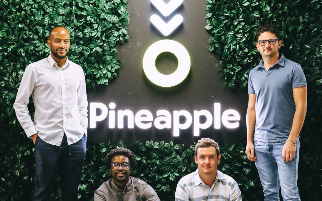 Pineapple Raises Record R400 Million in Series B Funding Round