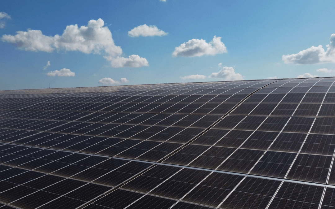 Teraco, solar power,