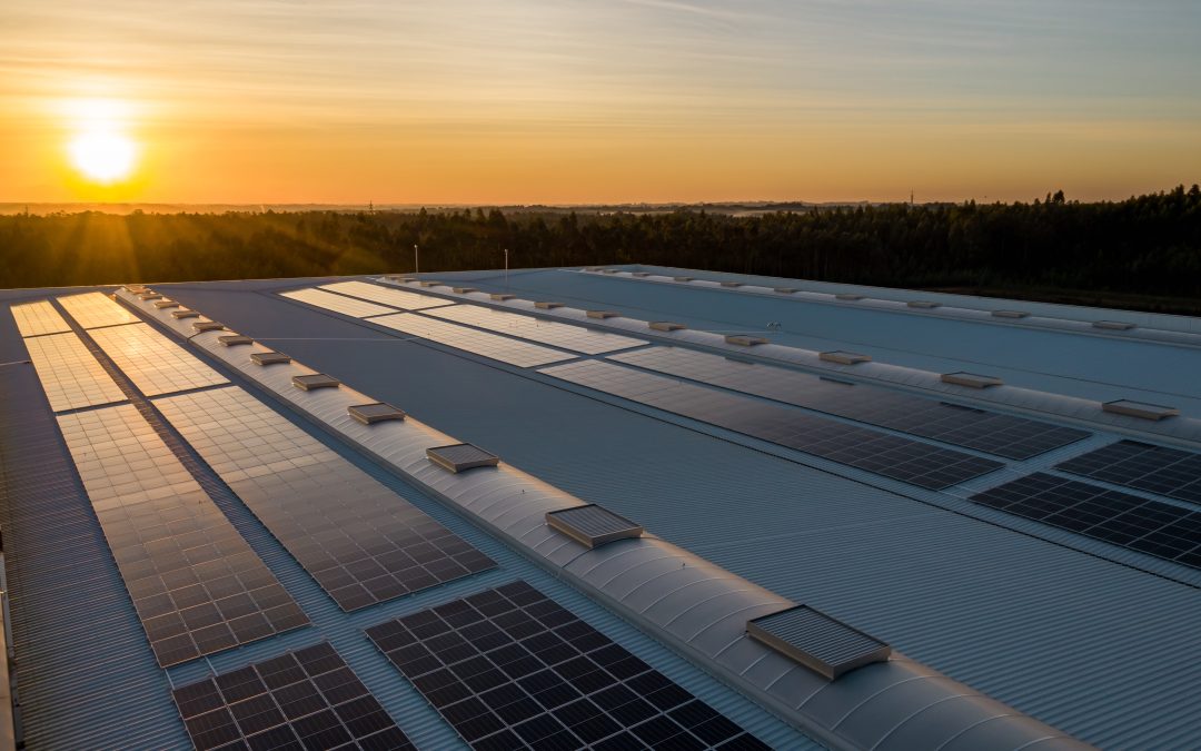 Could better international money transfers be key to giving SA’s solar importers a competitive edge?