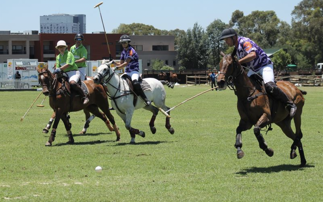 Johnnie Walker Blue Label Presents: The Polo Extravaganza – Where Luxury Gallops to Victory