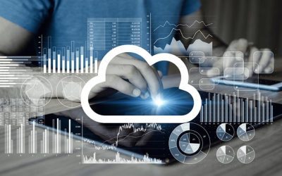From crisis to continuity: The role of cloud services in SME resilience