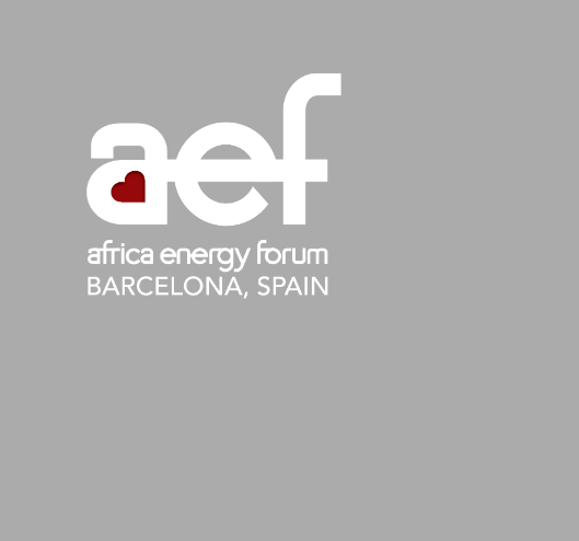 ENGIE, Africa Energy Forum, Africa Energy Forum 2024,