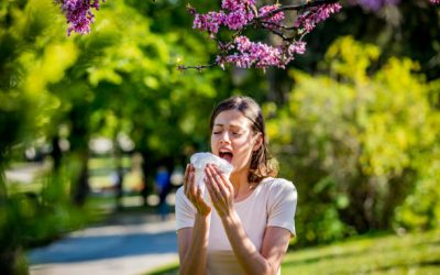 Suffering from ‘insneezia?’ Here’s how to sleep better during hay fever season