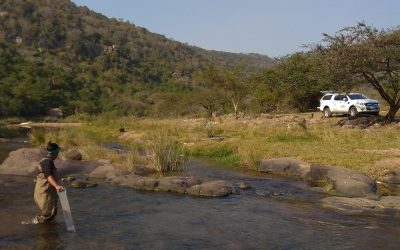 World Rivers Day and the Ford Wildlife Foundation’s Contribution to Conservation