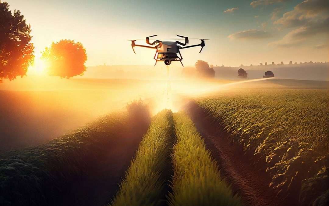 Moyo and Dell Technologies Advance South Africa's Agriculture Sector with New AI Solution