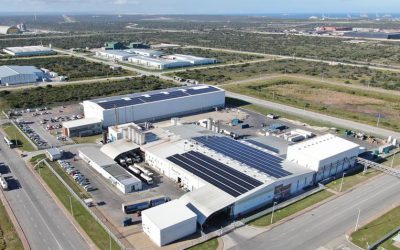 Why Dairy Group is South Africa’s Blueprint for Inclusive Industrialisation
