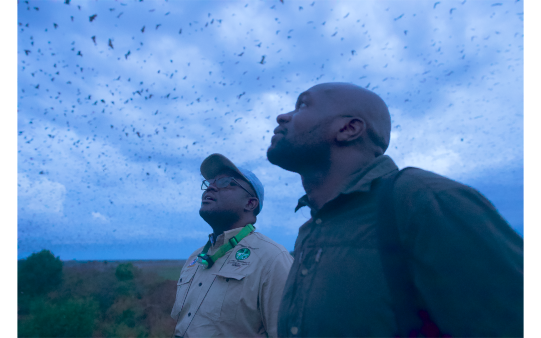 Kingdom premieres on BBC Earth on Monday 16th March at 8pm - narrated by Sir David Attenborough