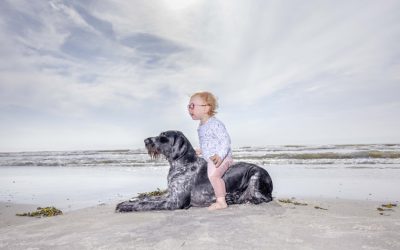 Professional Competition: Finalist & Shortlists Announced