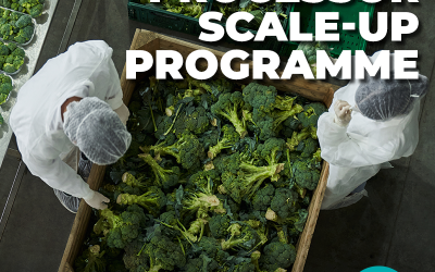EDGE GROWTH PARTNERS WITH FNB TO SCALE LOCAL AGRO PROCESSORS