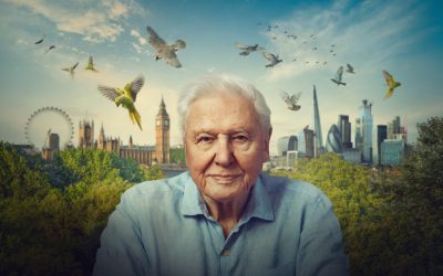 BBC Earth celebrates Sir David Attenborough’s 100th Birthday with new premieres and special programming