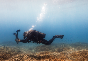 On World Oceans Day, Canon South Africa turns the lens on coral conservation