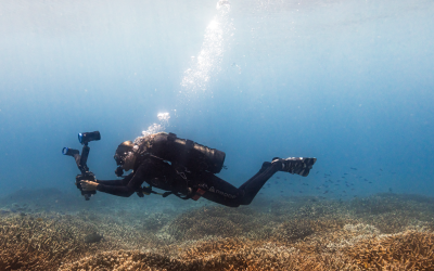 On World Oceans Day, Canon South Africa turns the lens on coral conservation