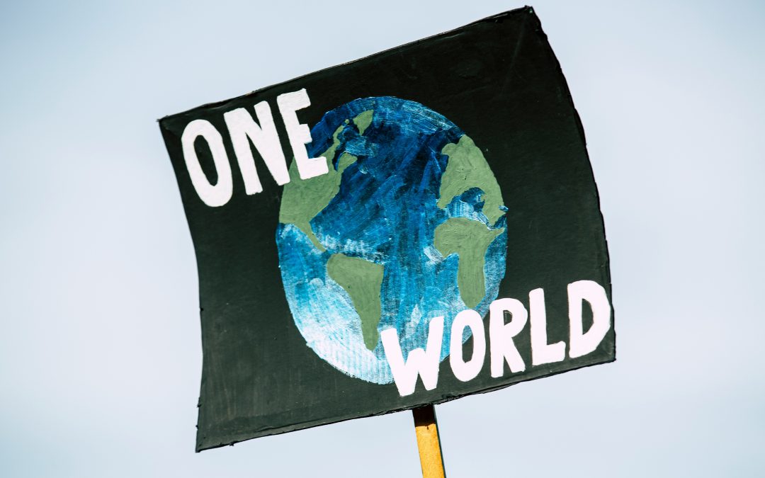 Youth-led green enterprises are transforming South Africa's plastic waste crisis