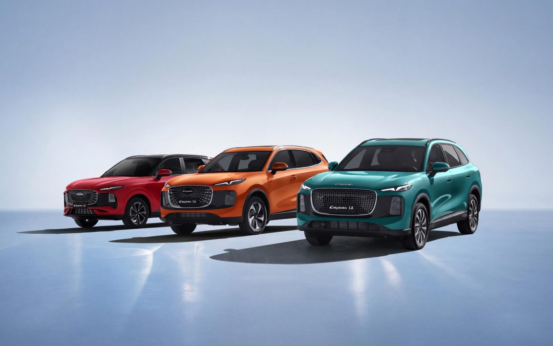 Lepas South Africa builds momentum with growing dealer footprint and expanding product range