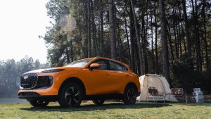 Lepas South Africa builds momentum with growing dealer footprint and expanding product range