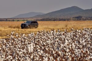 Updated Ford Everest Range – Media Q&A With Images
